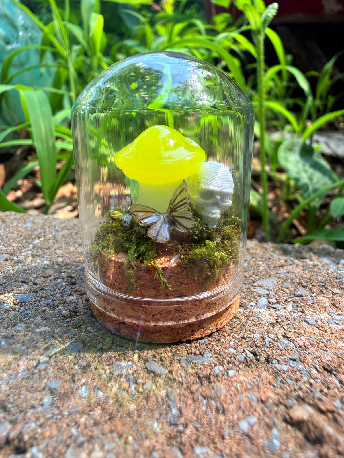 Enchanted Mushroom Dome