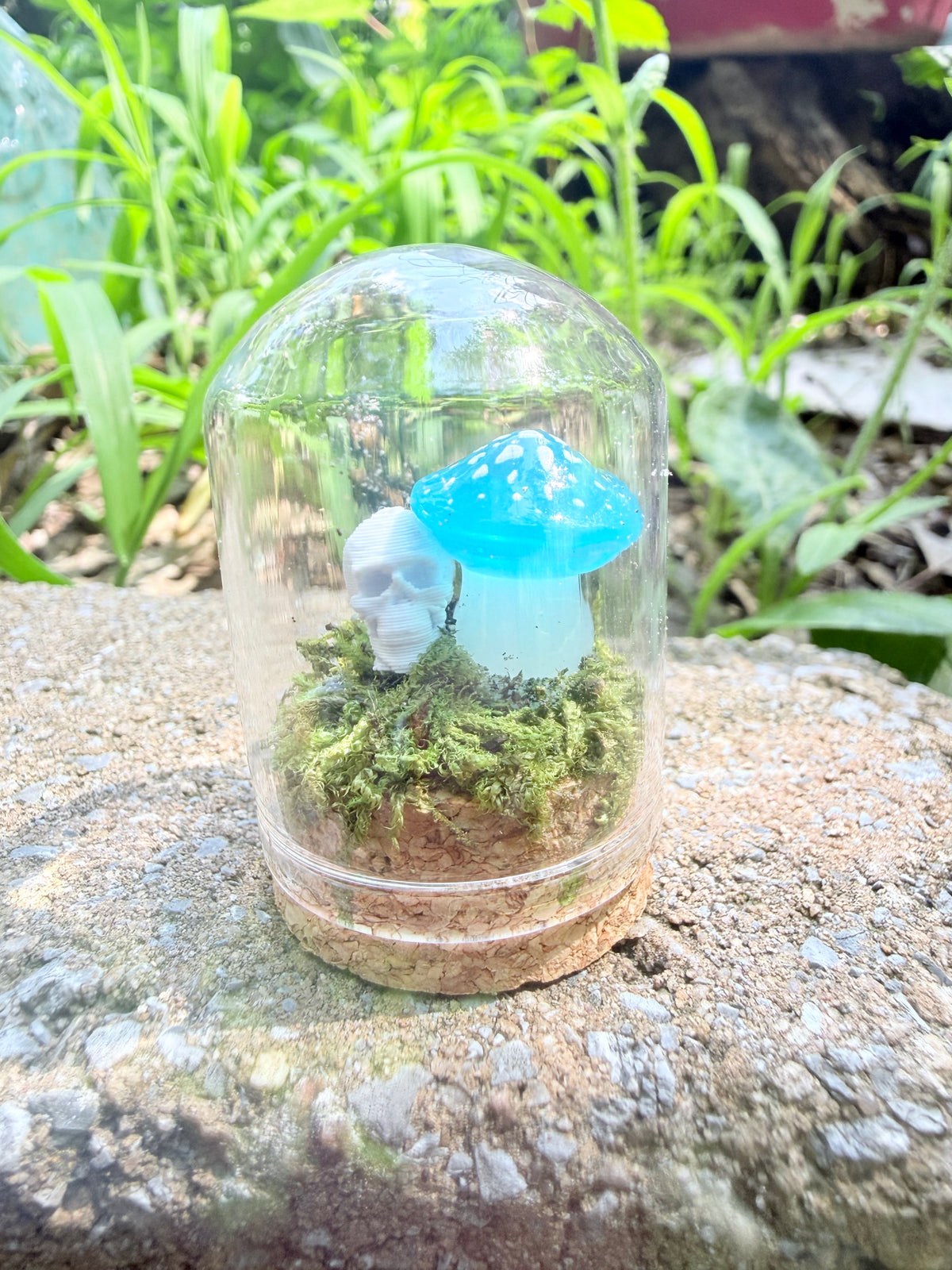 Enchanted Mushroom Dome