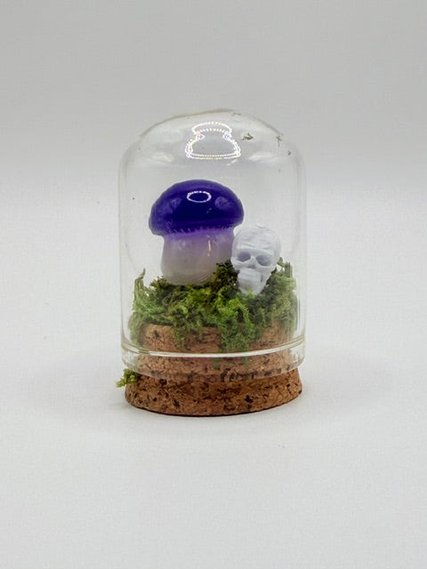Enchanted Mushroom Dome