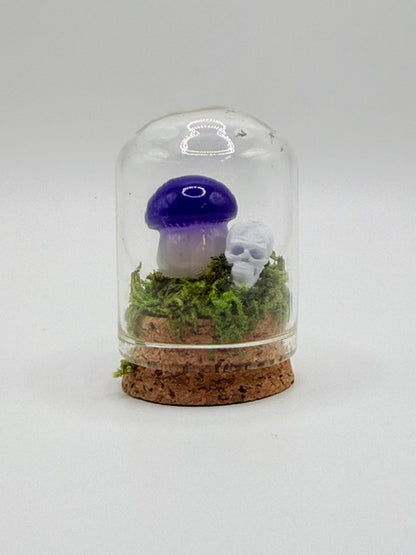 Enchanted Mushroom Dome