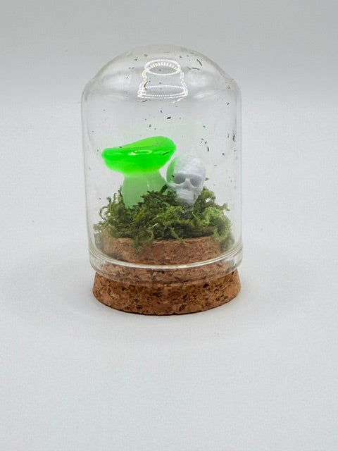 Enchanted Mushroom Dome