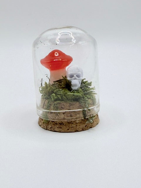 Enchanted Mushroom Dome